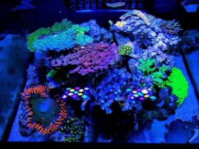 IMG_20170828_202326.jpg