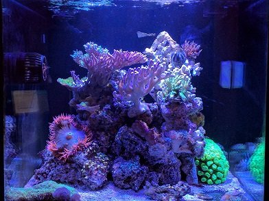 IMG_20170828_194122.jpg