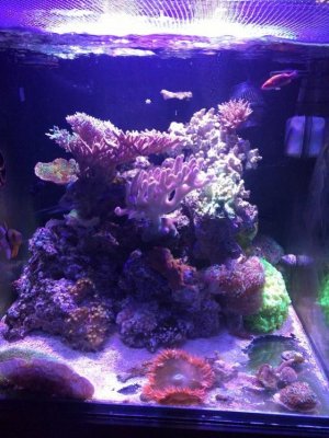 IMG_20171015_171038.jpg