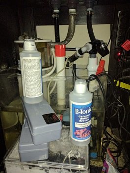IMG_20171015_171142.jpg