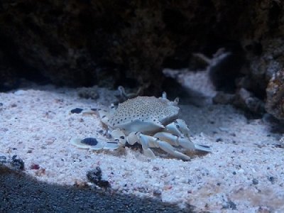20171019_131123.jpg