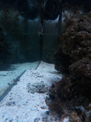 20171019_131150.jpg