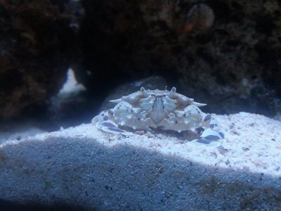 20171019_142734.jpg