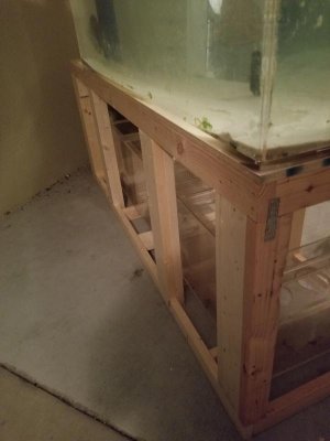 20171008_230051.jpg