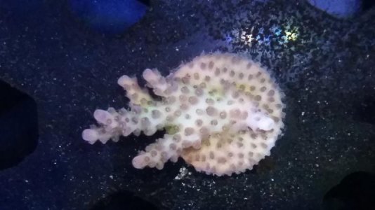 20171021_163938.jpg