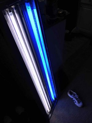 IMG_1288.jpg IMG_1288.jpg