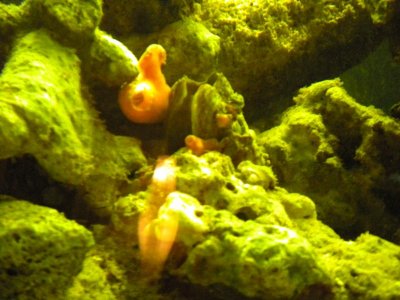 DSCN1086.jpg