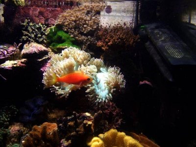 DSCF4193.jpg