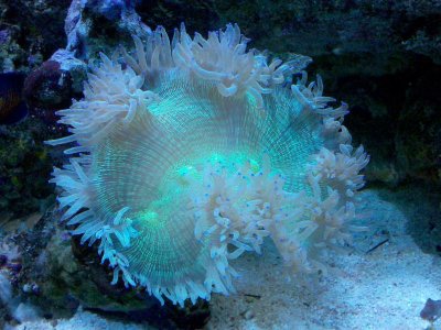 2010-04-19 18.53.34.jpg