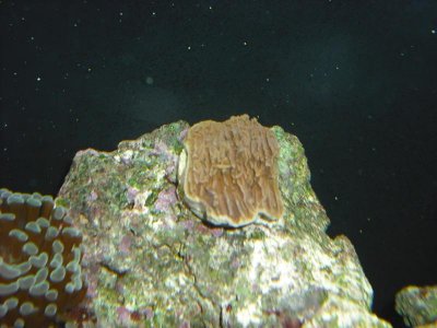 DSCF0148.jpg