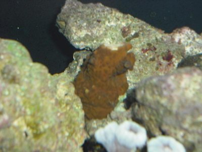 DSCF0149.jpg