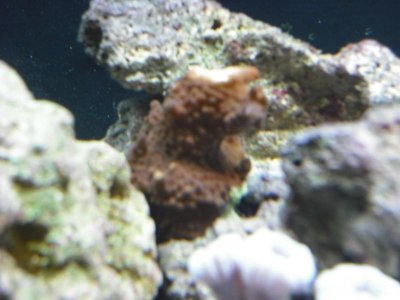 DSCF0150.jpg