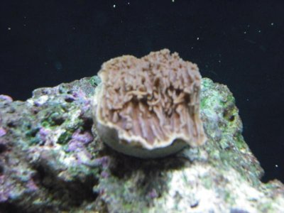 DSCF0151.jpg
