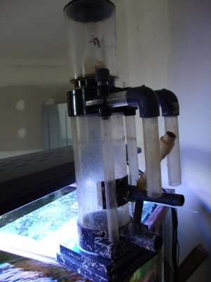 120 daysmay 5 2010 133.jpg