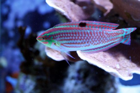 IMG_4988.jpg