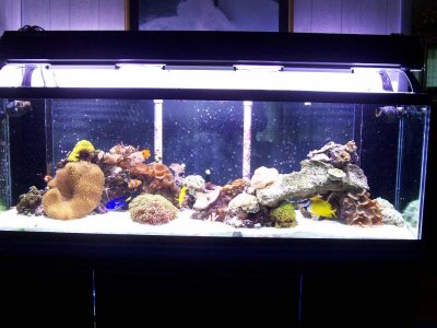 April 25, 2010 020.jpg