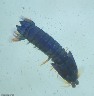 DSC_6151.jpg