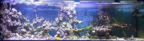 20170928_222737.jpg