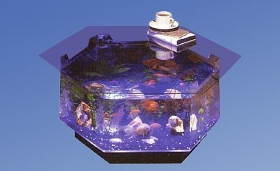 coffe table aquarium.jpg