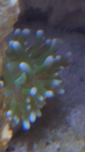 20171012_153840.jpg 20171012_153840.jpg