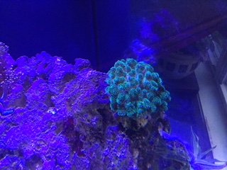 04F9C959-DADB-4113-A2E0-22984667CEDF.jpeg