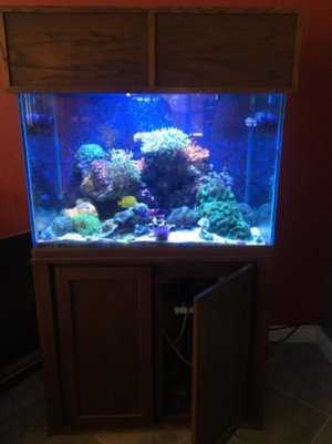 90 with one radion gen 1.jpg