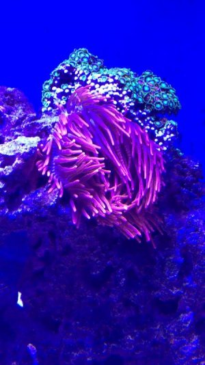 117E0A75-8758-4236-9F32-615C4B1ABB95.jpg