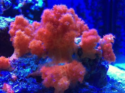 IMG_2154.jpg