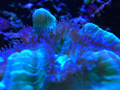 IMG_2279.jpg