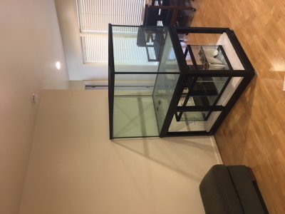 image1.jpeg