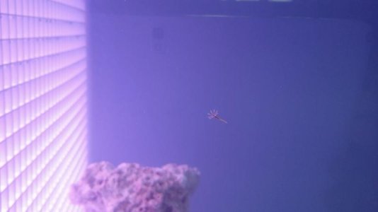 20171209_102631.jpg