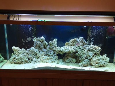 DT after rebuild.jpg