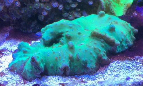 1B2E8772-0327-46FE-89E0-1C804AF2DDAA.jpg