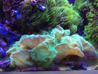 IMG_4382.jpg