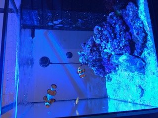 IMG_1788.JPG