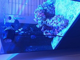 IMG_1786.JPG