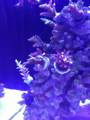 IMG_20171211_155221.jpg