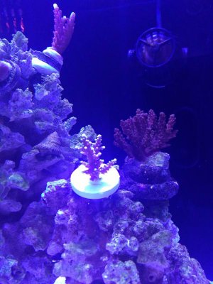 IMG_20171211_155341.jpg