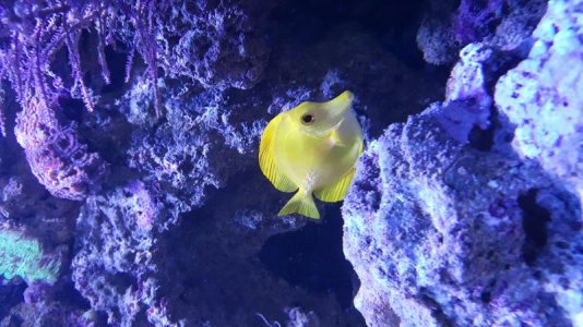 20171211_141153.jpg