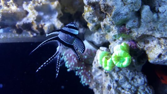 20171210_215352.jpg