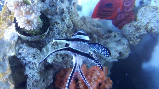20171210_215343.jpg