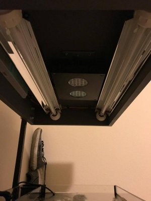 22766729_1069669686502762_2129543894_o(1).jpg