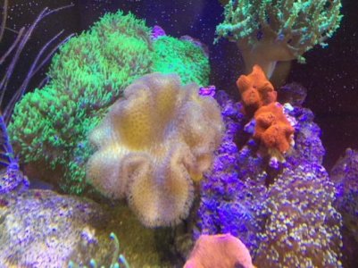 6F6CA6BB-8FB5-4524-9F4A-9EE3E61D17BA.jpg