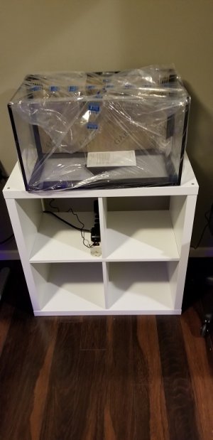 Tank on Stand.jpg