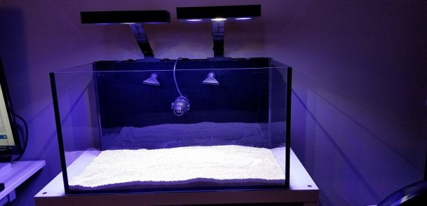 Lights On.jpg