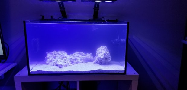 Just add water.jpg