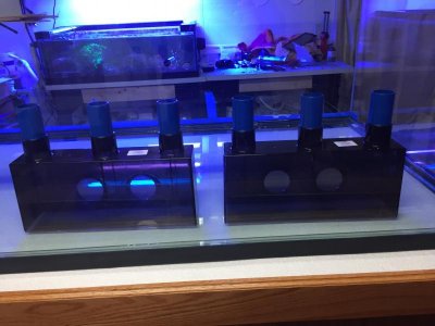 IMG_0511.jpg
