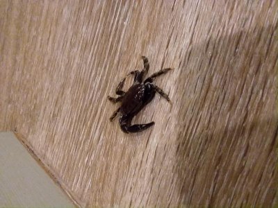 20171030_223918.jpg