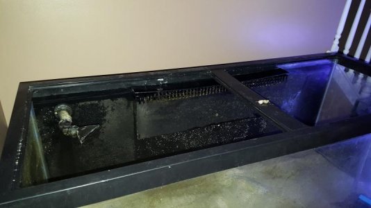 20171023_182341.jpg