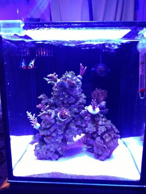 IMG_20171211_153329.jpg